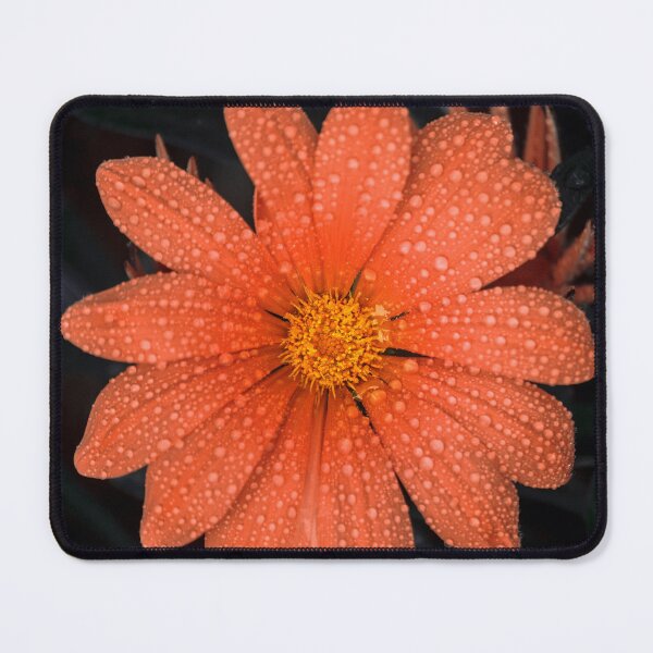 Item preview, Orange Flower designed and sold by anafrancisconi.