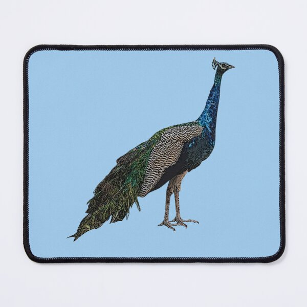 Item preview, Indian Peafowl Color Design designed and sold by designsasstultd.