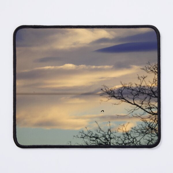 Item preview, Clouds & Bird in Flight in Bremerton, Washington designed and sold by jzmurdock.