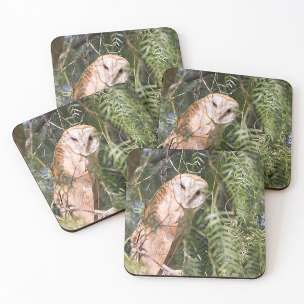 Item preview, American Barn Owl designed and sold by CarolM.