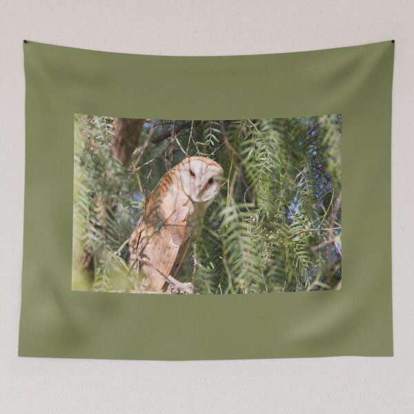 Item preview, American Barn Owl designed and sold by CarolM.
