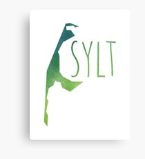 Sylt Metal Print