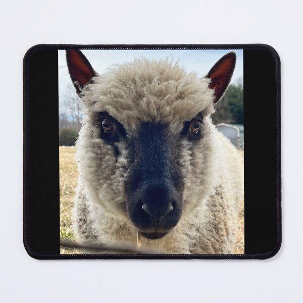 Item preview, Curious Clun Forest Sheep. designed and sold by StellaLunart.