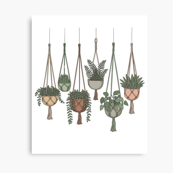 Item preview, hanging planters designed and sold by Mateusz Majcherek.