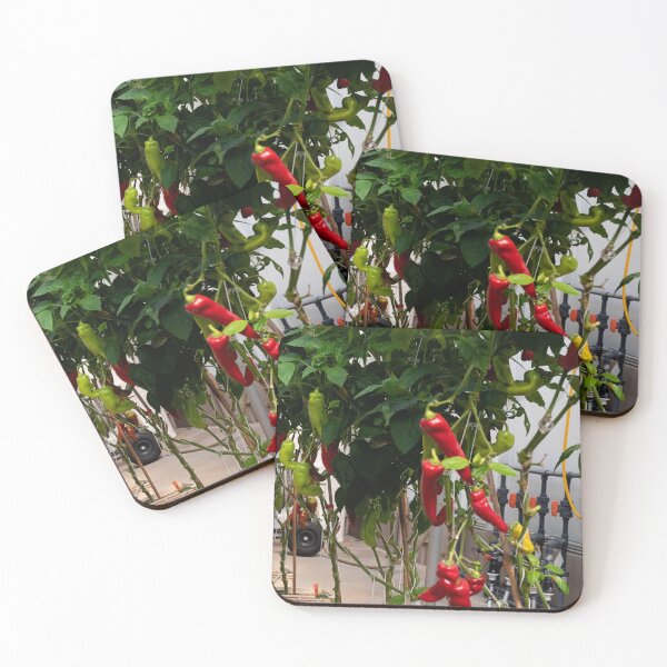 Item preview, Living With The Land Peppers designed and sold by ShutterbugBttns.