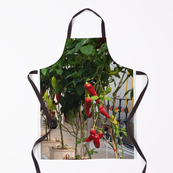 Item preview, Living With The Land Peppers designed and sold by ShutterbugBttns.