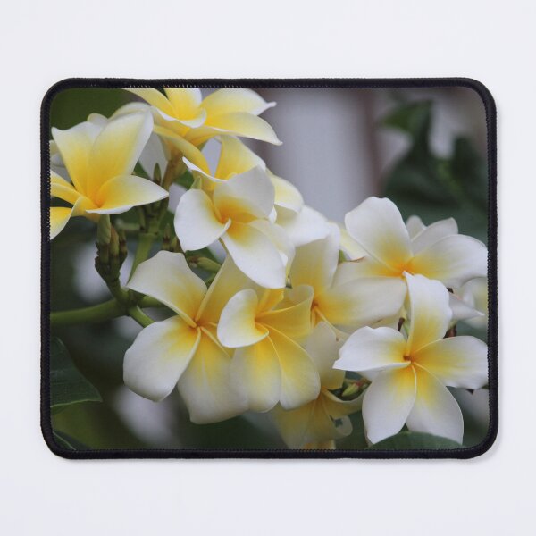 Item preview, Beautiful Tropical Flowers Plumeria designed and sold by croper.