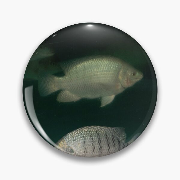 Item preview, Fish designed and sold by ShutterbugBttns.