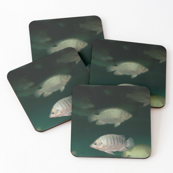 Item preview, Fish designed and sold by ShutterbugBttns.