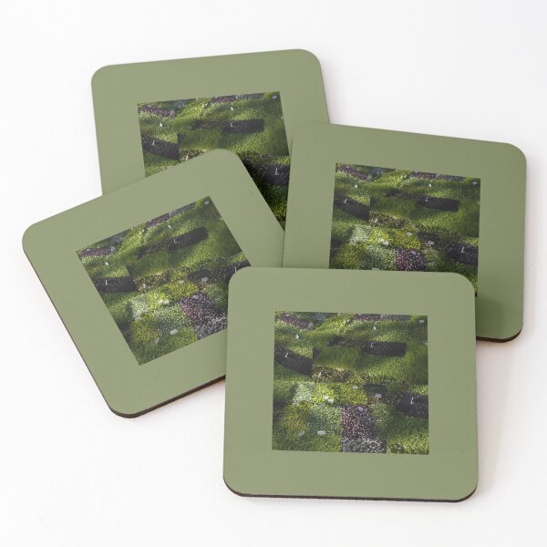 Item preview, Sprouts designed and sold by caterpillarclub.