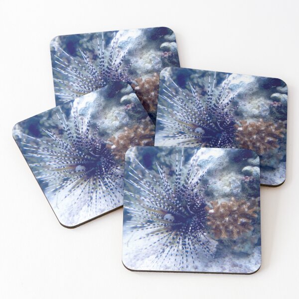 Item preview, Banded Sea Urchin designed and sold by ShutterbugBttns.
