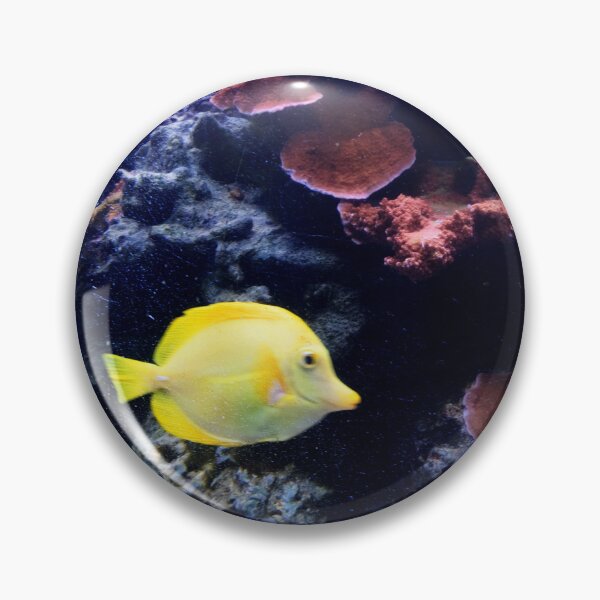 Item preview, Yellow Tang designed and sold by ShutterbugBttns.