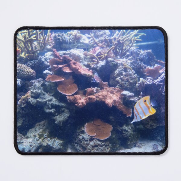 Item preview, Copperband Butterflyfish designed and sold by ShutterbugBttns.