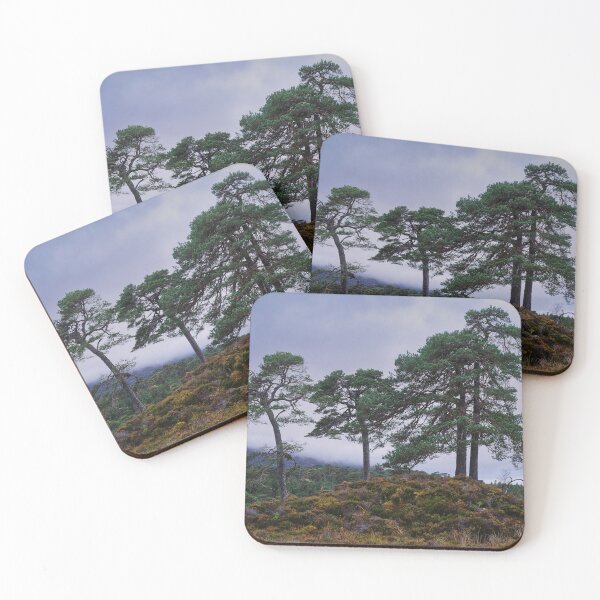 Item preview, Favourite Friends, Glen Affric designed and sold by ShinyPhoto.