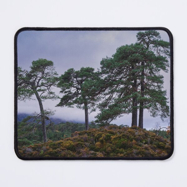 Item preview, Favourite Friends, Glen Affric designed and sold by ShinyPhoto.