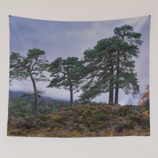 Item preview, Favourite Friends, Glen Affric designed and sold by ShinyPhoto.