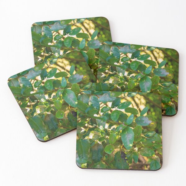 Item preview, green winter leaves designed and sold by The-gamming-fox.