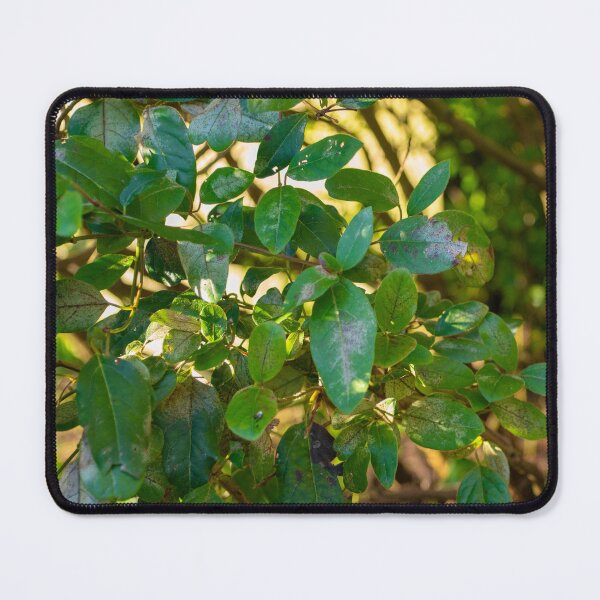 Item preview, green winter leaves designed and sold by The-gamming-fox.