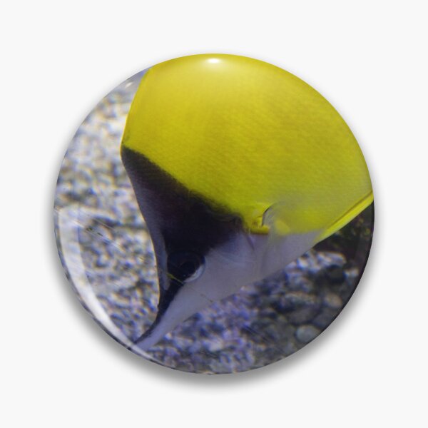 Item preview, Longnose Butterflyfish designed and sold by ShutterbugBttns.