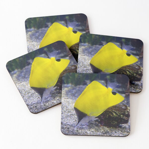 Item preview, Longnose Butterflyfish designed and sold by ShutterbugBttns.