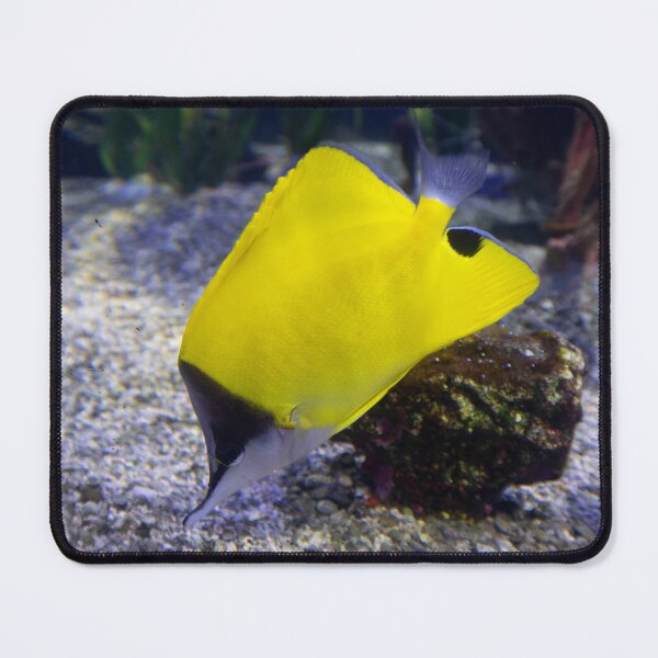 Item preview, Longnose Butterflyfish designed and sold by ShutterbugBttns.
