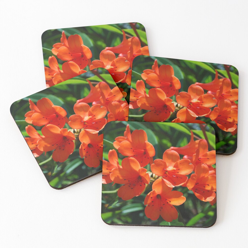 Item preview, Coasters (Set of 4) designed and sold by RocDrAdventures.
