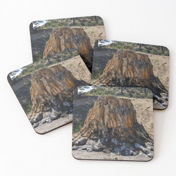 Item preview, Fossilized Tree designed and sold by RocDrAdventures.
