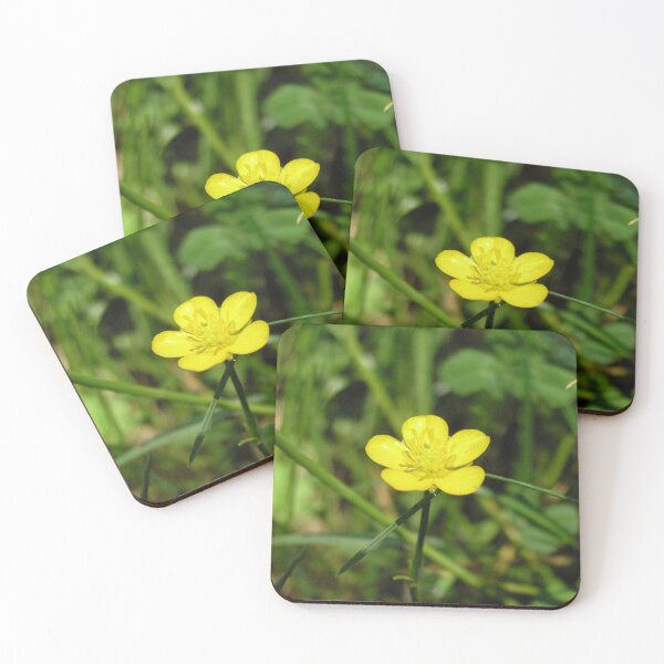 Item preview, Photo close-up of buttercup designed and sold by PM-Artistic.