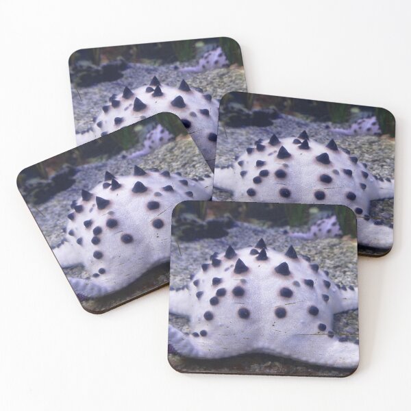 Item preview, Horned Sea Star designed and sold by ShutterbugBttns.