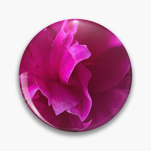 Artikelvorschau, Rosa Pfingstrose in voller Blüte entworfen und verkauft von ChrisOnBubble.