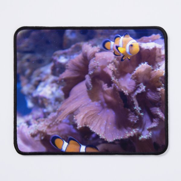 Item preview, Clownfish designed and sold by ShutterbugBttns.