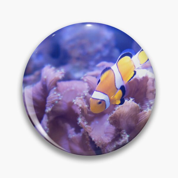 Item preview, Clownfish designed and sold by ShutterbugBttns.
