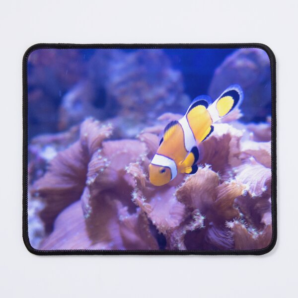 Item preview, Clownfish designed and sold by ShutterbugBttns.