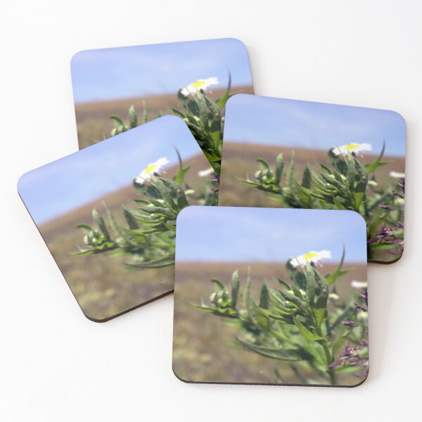 Item preview, Photo close up flower designed and sold by PM-Artistic.