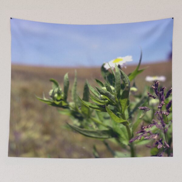Item preview, Photo close up flower designed and sold by PM-Artistic.