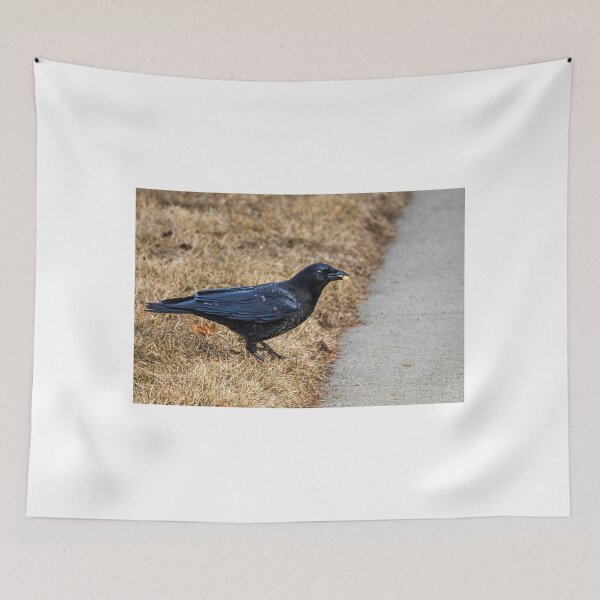 Item preview, Crow eating an early breakfast designed and sold by Joel Bader.
