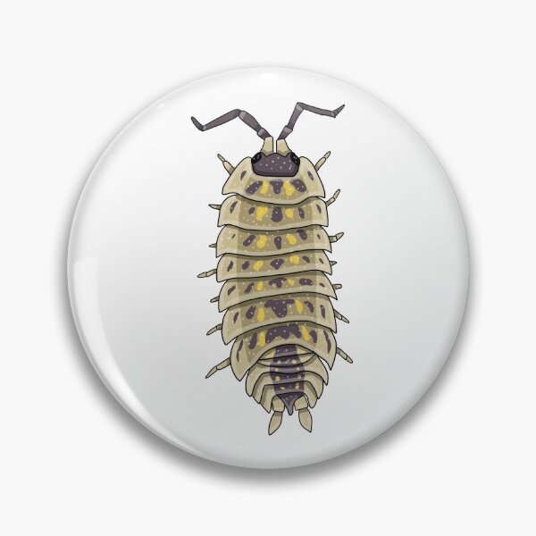 Item preview, Porcellio spinicornus isopod designed and sold by Artbychb.