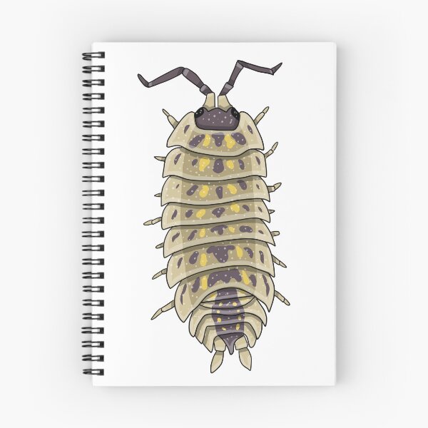 Item preview, Porcellio spinicornus isopod designed and sold by Artbychb.