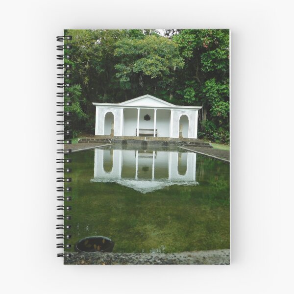 Item preview, Reflection in the forest water designed and sold by llabspicc.
