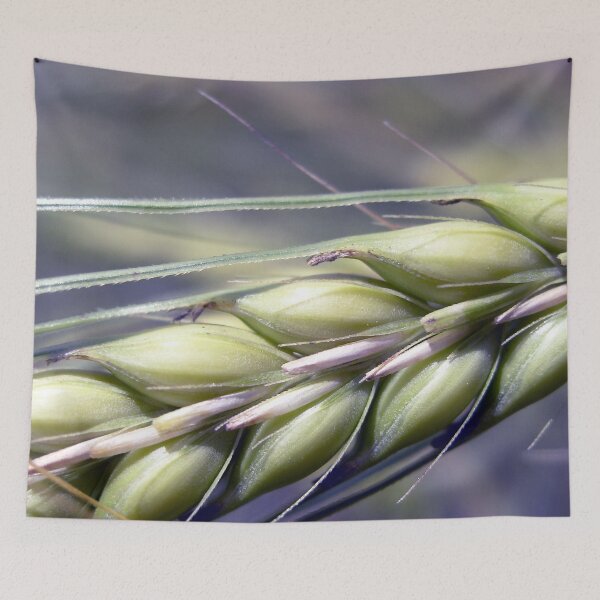 Item preview, Photo close up of cereal designed and sold by PM-Artistic.