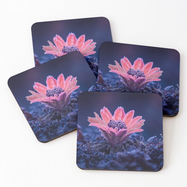 Item preview, Radiant Bloom designed and sold by CHCOfficial.