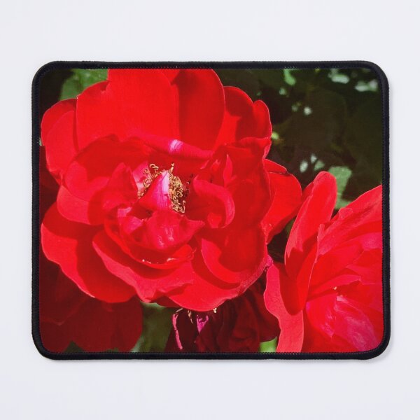 Item preview, Radiant Red Roses designed and sold by Betsy Phillips.