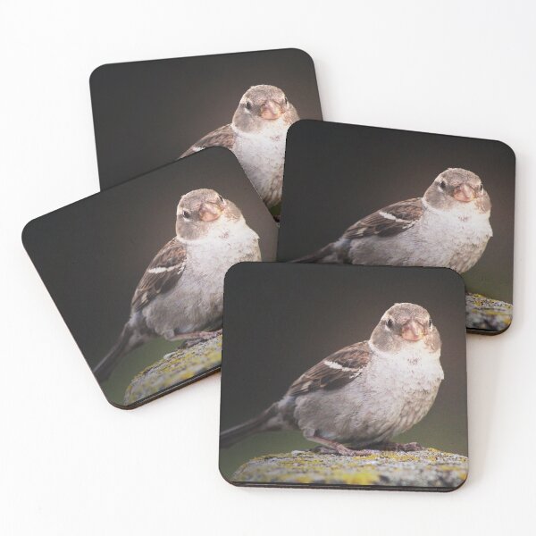 Item preview, Fluffy Little Sparrow designed and sold by ForestWanderersArt.