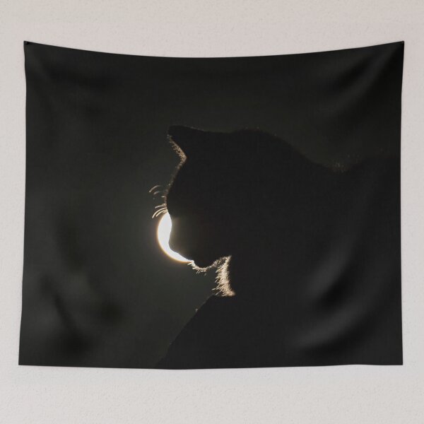 Item preview, Cat Moon - Cat silhouetted by a Blue Super Moon designed and sold by Blue Pacific Fury.