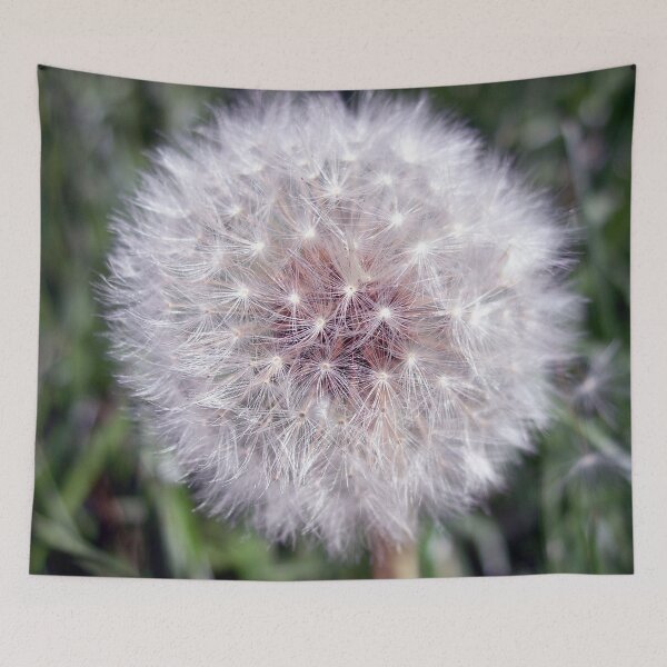 Item preview, Photo close-up dandelion designed and sold by PM-Artistic.