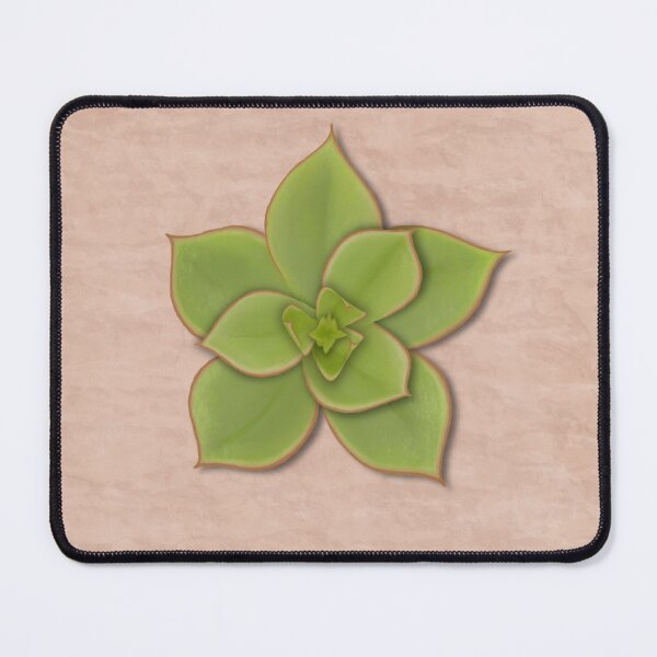 Item preview, Modern Green Hand-Drawn Botanical Echeveria Succulent  designed and sold by Ordinary Elevated.