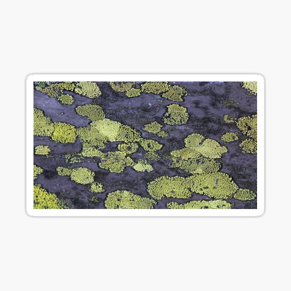 Item preview, lichen  designed and sold by KathleenDawson.