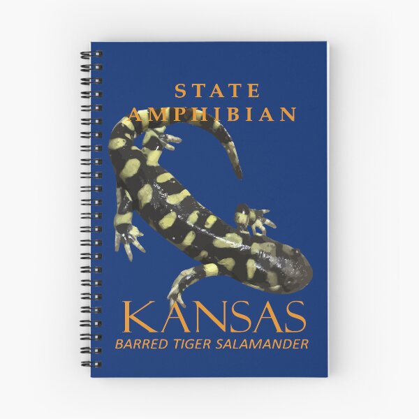 Item preview, Kansas Territory Amphibian The Barred Tiger Salamander designed and sold by taiche.