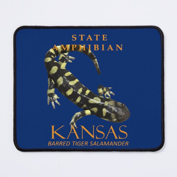 Item preview, Kansas Territory Amphibian The Barred Tiger Salamander designed and sold by taiche.