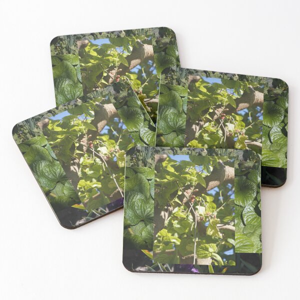 Item preview, Garden glimpse designed and sold by caterpillarclub.